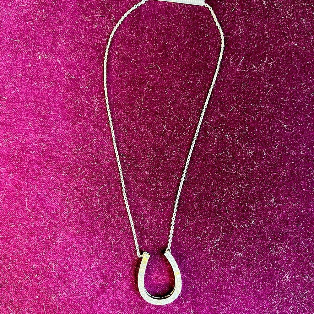 Rhinestone horseshoe necklace